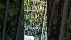 Video post by @developingsam1597 on YouTube
