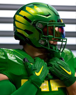 Image post by @goducks on Instagram