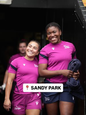 Image post by @salesharkswomen on Instagram