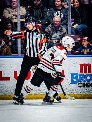 Image post by @ohlicedogs on Instagram