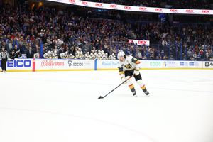 Image post by @GoldenKnights on Twitter