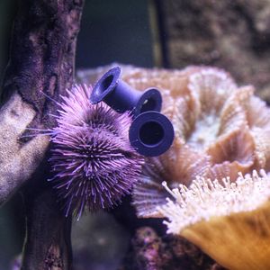 Image post by @butterflypavilion on Instagram