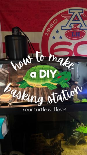 Video post by @littlestpetfarm on TikTok
