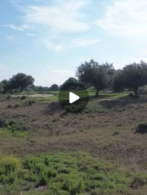 Image post by @stexaspga on Instagram