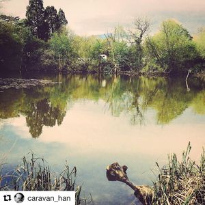 Image post by @candmclub on Instagram