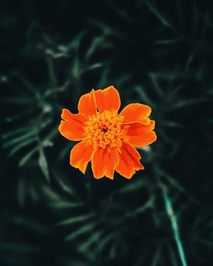 Image post by @chrisbolt on Instagram
