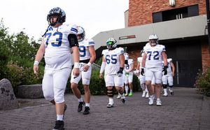 Image post by @bram_goldsmith on Instagram