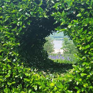 Image post by @ahs_gardening on Instagram