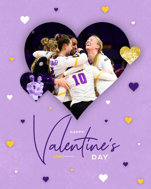 Image post by @lsuvolleyball on Twitter