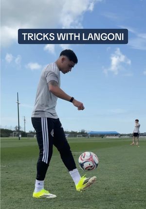 Video post by @nerevolution on TikTok