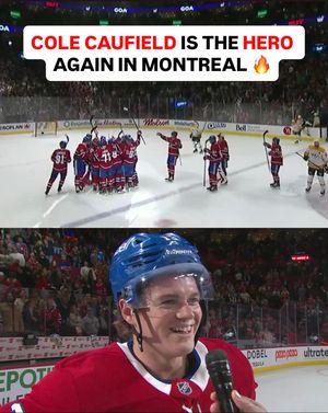 Image post by @br_openice on Instagram