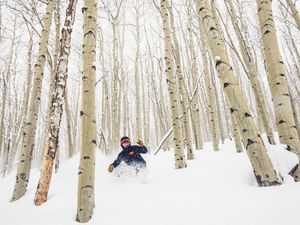 Image post by @beavercreek on Instagram