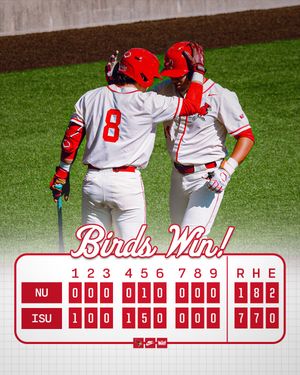 Image post by @isuredbirdbaseball on Instagram