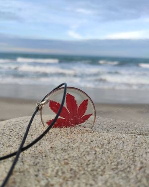 Image post by @leafyaffair on Instagram