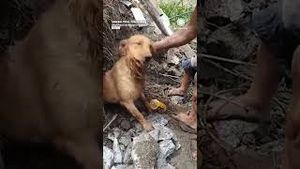 Video post by @accuweather on YouTube