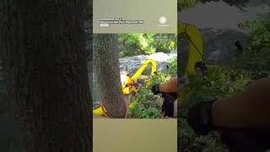 Video post by @accuweather on YouTube