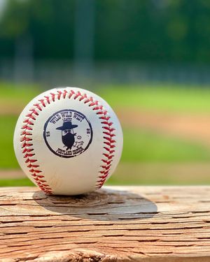 Image post by @picklesbaseball on Instagram
