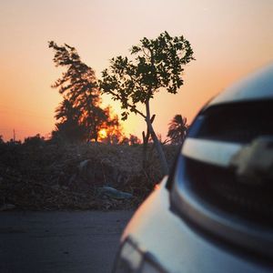 Image post by @faragelo22 on Instagram