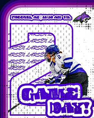 Image post by @lopeswhockey on Instagram