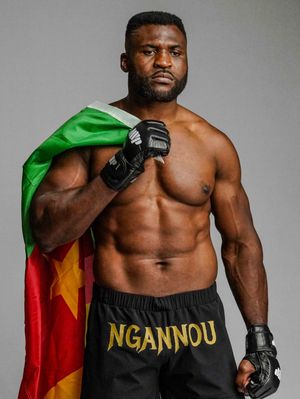 Image post by @francisngannou on Instagram