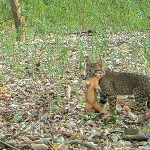 Image post by @GreatParksHC on Facebook