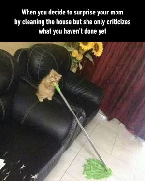 Image post by @9gag on Instagram