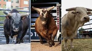 Video post by @pbr on YouTube