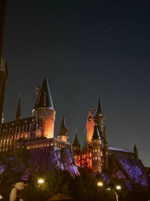 Image post by @Jessheartsthemeparks on Facebook