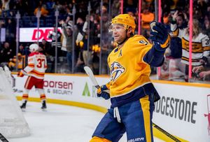 Image post by @PredsNHL on Twitter