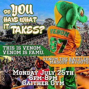 Image post by @famuathletics on Instagram