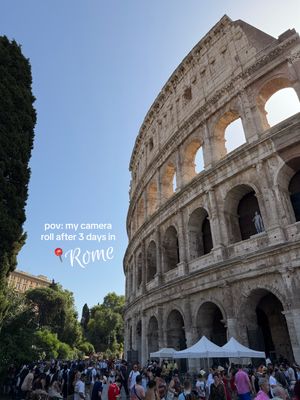 Video post by @discodaiz on TikTok