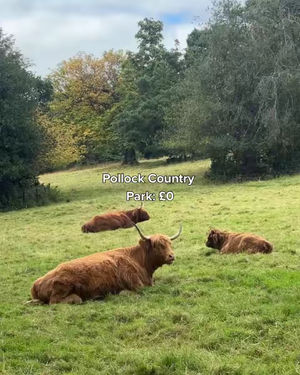 Video post by @uofglasgow on TikTok