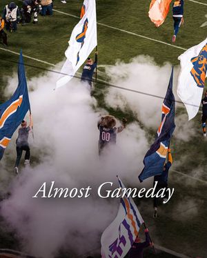 Image post by @therealstaley on Instagram