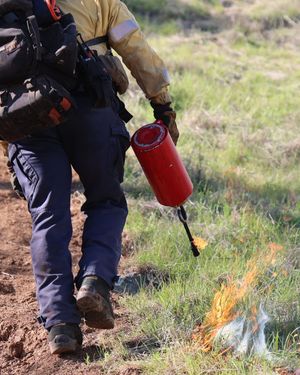 Image post by @calfire on Instagram
