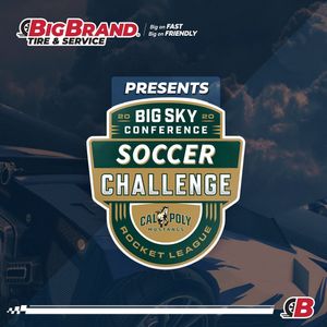 Image post by @bigbrandtire on Instagram