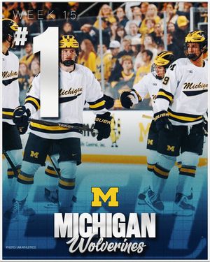 Image post by @everythingcollegehockey on Instagram