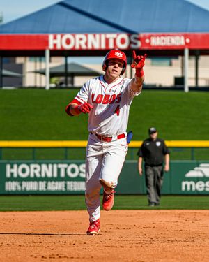 Image post by @unmlobobaseball on Instagram