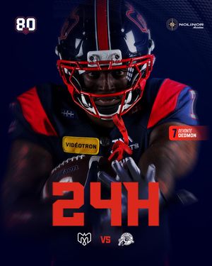 Image post by @mtlalouettes on Instagram