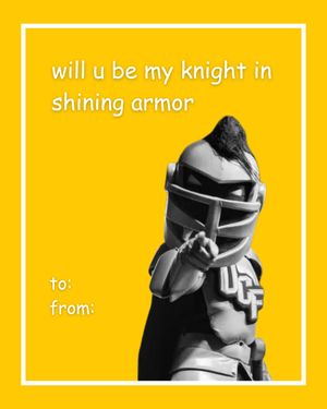 Image post by @ucf_nsfp on Instagram