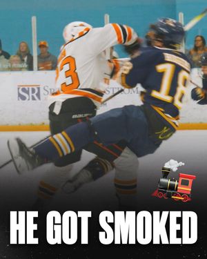 Image post by @hockeyhousepod on Instagram