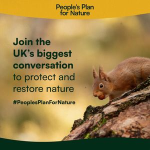 Image post by @rspb on Instagram