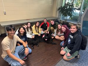 Image post by @crcreslife on Instagram