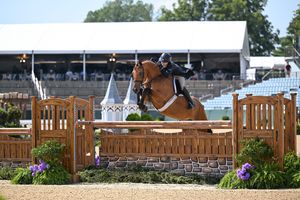 Image post by @kyhorseshows on Instagram