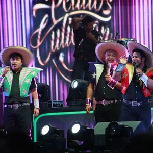 Image post by @pelillosdeculiacan on Instagram