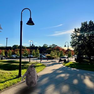 Image post by @rhodeislandcollege on Instagram