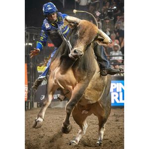 Image post by @jessebrunerphoto on Instagram