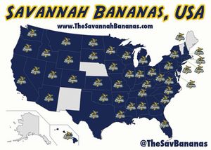 Image post by @thesavbananas on Instagram