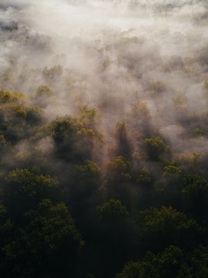 Image post by @kyle_petersen21 on Instagram