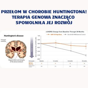 Image post by @neurochirurg_litak on Instagram