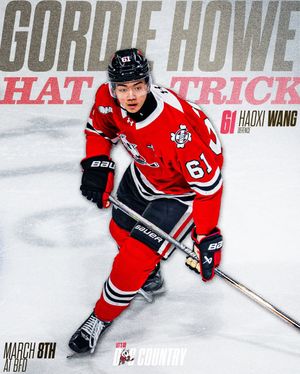 Image post by @ohlicedogs on Instagram